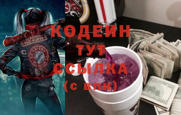 прущий лед Горняк