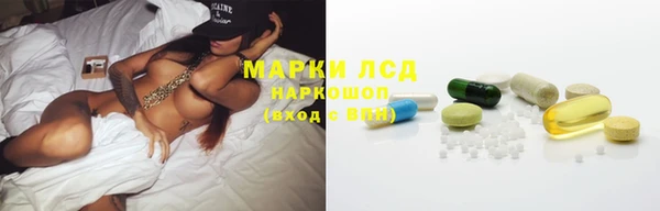 СК Горнозаводск