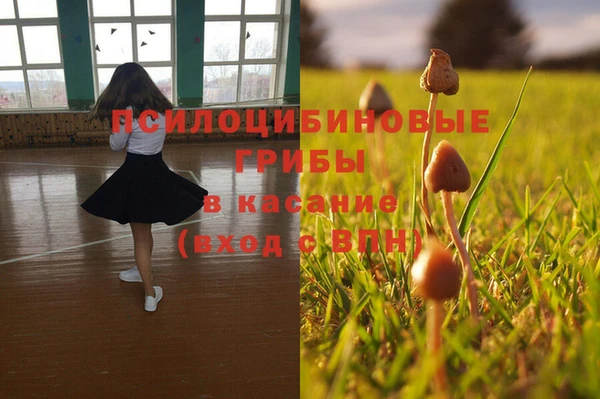 прущий лед Горняк