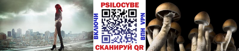 нарко площадка наркотические препараты  Павловск  Галлюциногенные грибы прущие грибы 